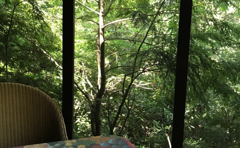 AT HOME IN THE&nbsp;WOODS